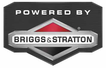 Briggs Stratton