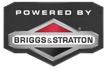 Briggs Stratton